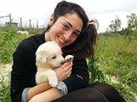 dog cuddling
